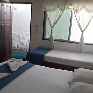 Pensión Darwin, Puerto Ayora (Galapagos Islands)